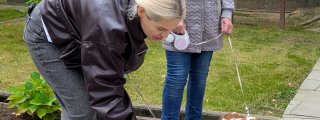 Šv. Pranciškaus, Pasaulinės gy...