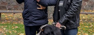 Šv. Pranciškaus, Pasaulinės gy...