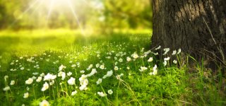 Jurbarkiečiai kviečiami švęsti pavasario lygiadienio šventę „Saulės varteliai“