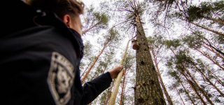 Aplinkos ministerija skyrė 10 skatinamųjų stipendijų pasirinksiantiems miškininkystės studijas