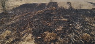 Žolės deginimas: žala gamtai, žmonėms ir jų turtui