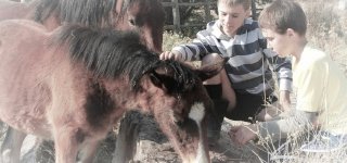 Vėl startuoja Šviečiamoji gyvulininkystės programa vaikams ir jaunimui