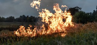 Ugniagesiai įspėja: laužų ir žolės deginimas gali užtraukti baudą