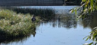 Koks leidimas reikalingas žvejojant įvairiuose telkiniuose