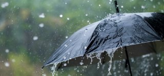 Artimiausiomis dienomis pliaups lietus, tačiau savaitgalis atneš pokyčių