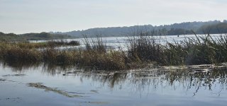 Savaitės pradžios orai: debesuota, stiprės vėjas, bet temperatūra dar neskubės žemėti