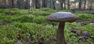 Orai: trumpą šilumos bangą pakeis lietingi ir vėjuoti orai