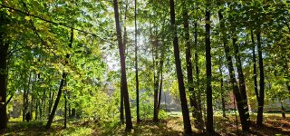 Orai: vietomis sulauksime lietaus, šils iki 15 laipsnių