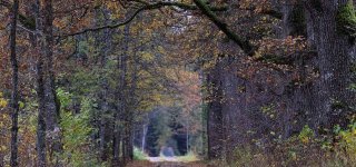 Sinoptikas: trečiadienį sulauksime iki 16 laipsnių šilumos