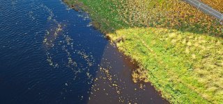 Po lietingo pirmadienio – orų permainos: ims giedrėti, naktimis numatomos šalnos