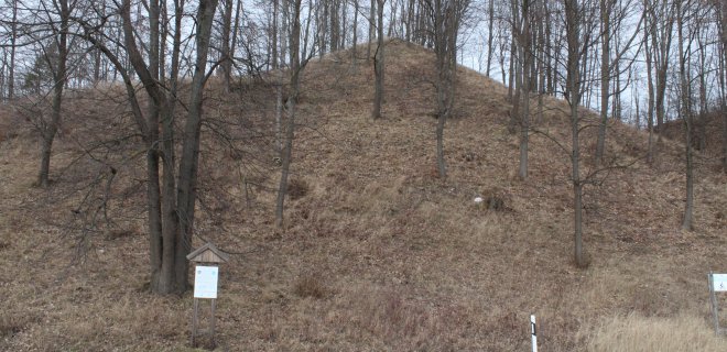 Kartupėnų piliakalnis yra prie pat kelio Jurbarkas-Kaunas, 1,2 km į šiaurės rytus nuo Panemunės. / A. Tautvydaitės nuotr.