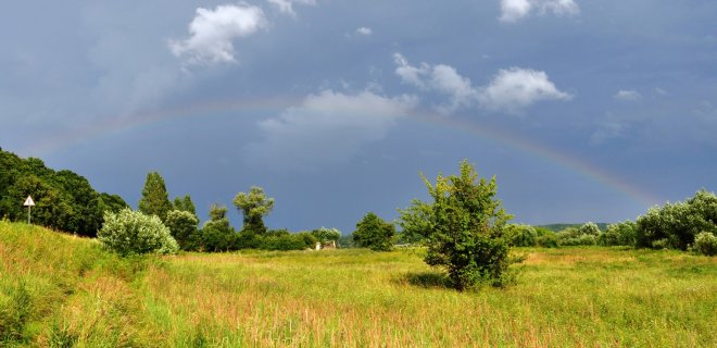 Bendras tyrimų vietos vaizdas. / www.archeotyrimai.lt nuotr.