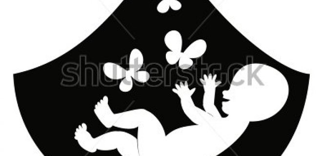 http://image.shutterstock.com nuotr.
