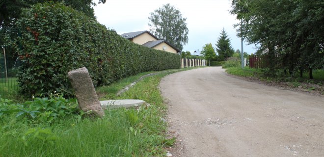 Šiam, iš pirmo žvilgsnio tarsi niekuo neišsiskiriančiam riboženkliui gali būti virš 400 metų.