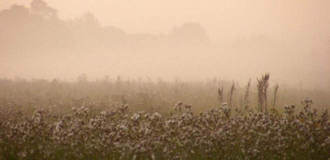 Agnė ir Rūta fotografuoja viską : įvairias akimirkas, žmones, gamtą, gyvūnus, daiktus, sportą – viską, ką įmanoma įamžinti. / Asmeninio archyvo nuotr.