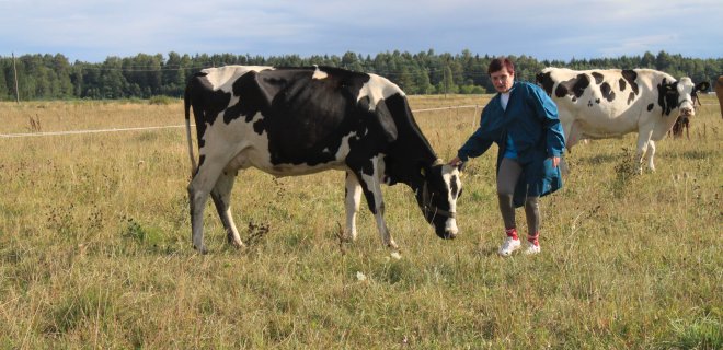 Irena Petrylienė šiame konkurse taip pat dalyvauja pirmą kartą, nors  dirba melžėja jau 20 metų. „Labai įdomus renginys, didelis jaudulys buvo, nes pirmą kartą konkurse.  Jis pakelė nuotaiką. Atsirado galimybė išvažiuoti, pačiai pabandyti, pakonsultuoti“, – taip apie šį renginį atsiliepė pati seniausia šių metų dalyvė I. Petrylienė.