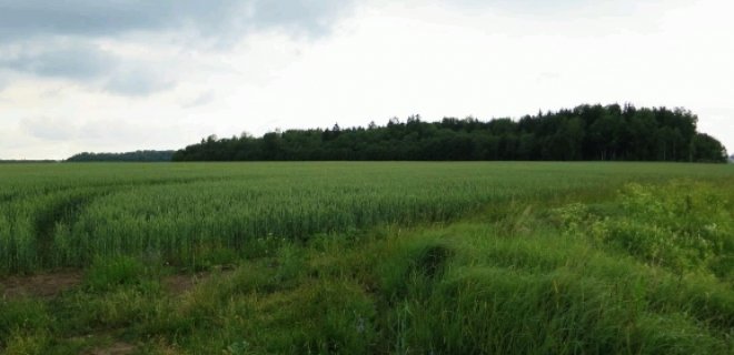 Vieta, kurioje, liudininkų teigimu, gali būti palaidoti vokiečių kariai.