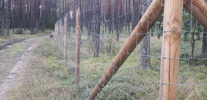 Skaitytojo atsiųsta nuotr.