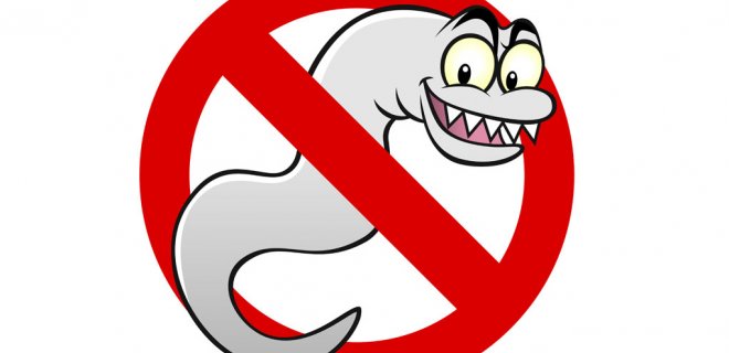 asociatyvi / wellnesspursuits.com/wp-content/uploads/2016/08/Which-Foods-Can-Rid-Parasites-From-Your-Body.jpg nuotr.