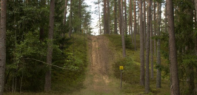 Rodos, ne Jurbarko rajono mišku, o pajūriu važiuoji. Įspūdingos Kaskalnio geomorfologinio draustinio žemyninės kopos. / R. Bakšienės nuotr.
