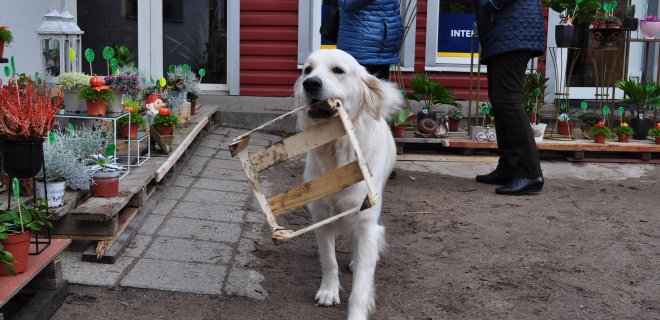 monikos Kazakevičiūtės nuotr.