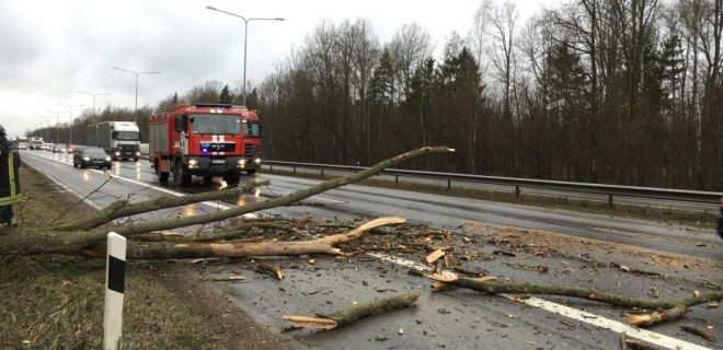 PGT asociatyvinė nuotr.