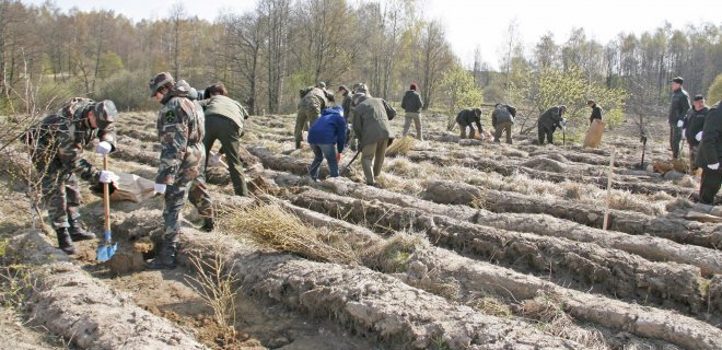 Iki lapkričio 16 dienos užpildę paraiškas pagal KPP priemonės „Investicijos į miško plotų plėtrą ir miškų gyvybingumo gerinimą“ veiklos sritį „Miško veisimas“ pareiškėjai gali pasidalyti 9 283 964 eurus paramos lėšų.