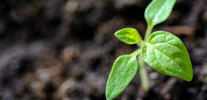 Asociatyvi / pexels.com nuotr.