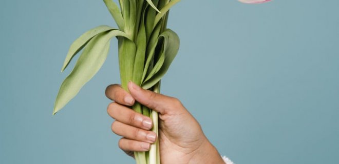 pexels.com nuotr.