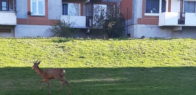 Skaitytojos Virgos atsiųsta nuotr.