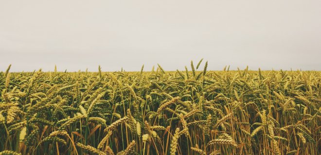 Asociatyvi / pexels.com nuotr.