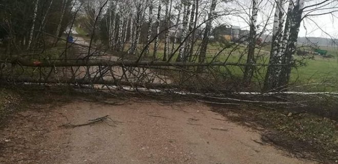 redakcijos archyvo nuotr.
