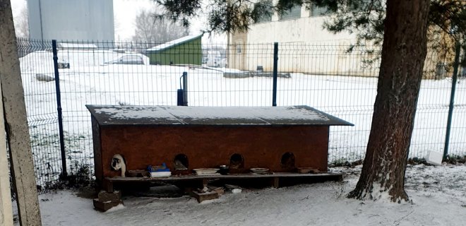 Būkit gailestingi mažiesiems mūsų draugams – nepraeikite pro šalį matydami beglobį šąlantį gyvūną – pamaitinkite, sušildykite, dažniau nuneškite šilto maisto į maitinimo vietas, kurios įrengtos Kudirkos ir Algirdo gatvėse.