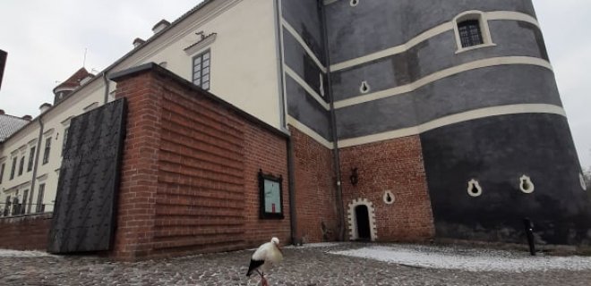 Skaitytojo atsiųsta nuotr.