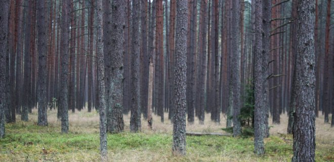 Redakcijos archyvo nuotr.