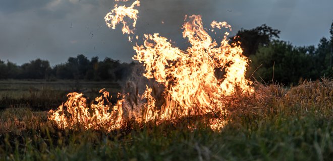 www.freepik.com nuotr.