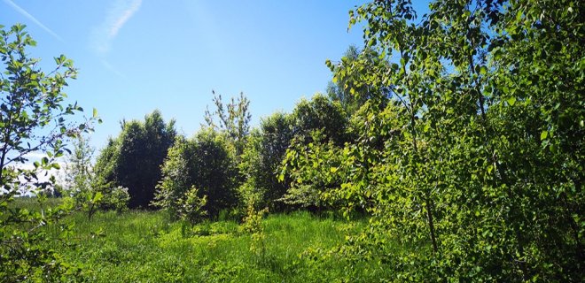 R. Vasiliauskienės nuotr.