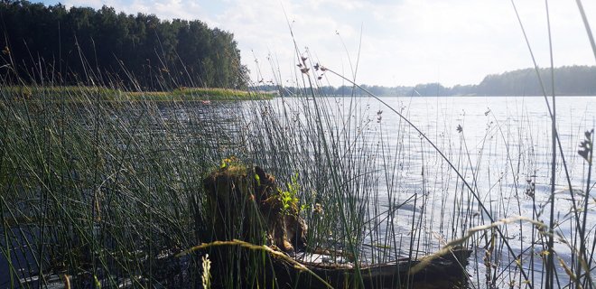 R. Vasiliauskienės nuotr.