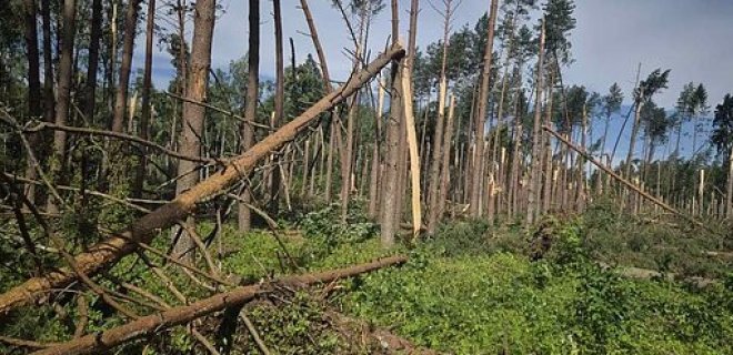 Audros padariniai pietų Lietuvoje / VMU nuotr.