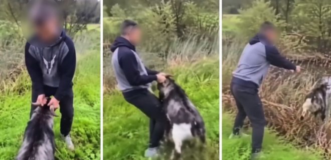 Vaizdo įrašo stop kadrai