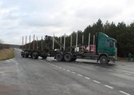 Miškavežis prie posūkio į Greičius sumaitojo lengvąjį automobilį