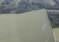 Tarp 30 patraukliausių Lietuvos miestų - ir Jurbarko kraštas
