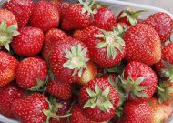 Jurbarkiečiai noriau perka lietuviškas, nors ir brangesnes braškes