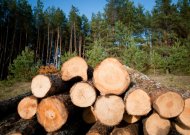Virstantis medis Jurbarko r. užmušė vyrą, dar vienas sužeistas