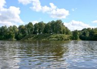 2003 m. rudenį buvo trumpam nuleistas Mituvos tvenkinio vanduo. Tuomet susidarė sąlygos pradėti tvarkyti į jį griūvantį piliakalnio vakarinį šlaitą.