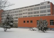 Vėžys nėra stipresnis už mus!