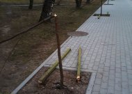 Gedimino gatvėje siautėjo vandalai