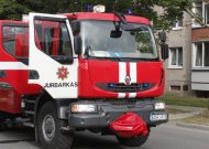 Degė supjauti medžiai, miško paklotė ir jaunuolynas