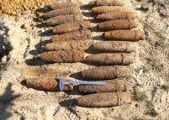 Metalo ieškikliais Viešvilės mišką tyrinėję žmonės aptiko minų lauką