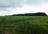 Vieta, kurioje, liudininkų teigimu, gali būti palaidoti vokiečių kariai.